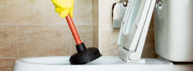 Don&#8217;t Flush Your Money Down the Drain: 5 Toilet Clog Myths That Cost Eureka Homeowners Hundreds